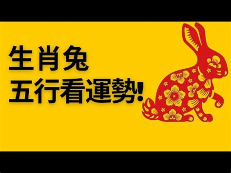 屬兔五行屬什麼|屬兔的五行是什麼？了解兔年的命理特徵與性格分析